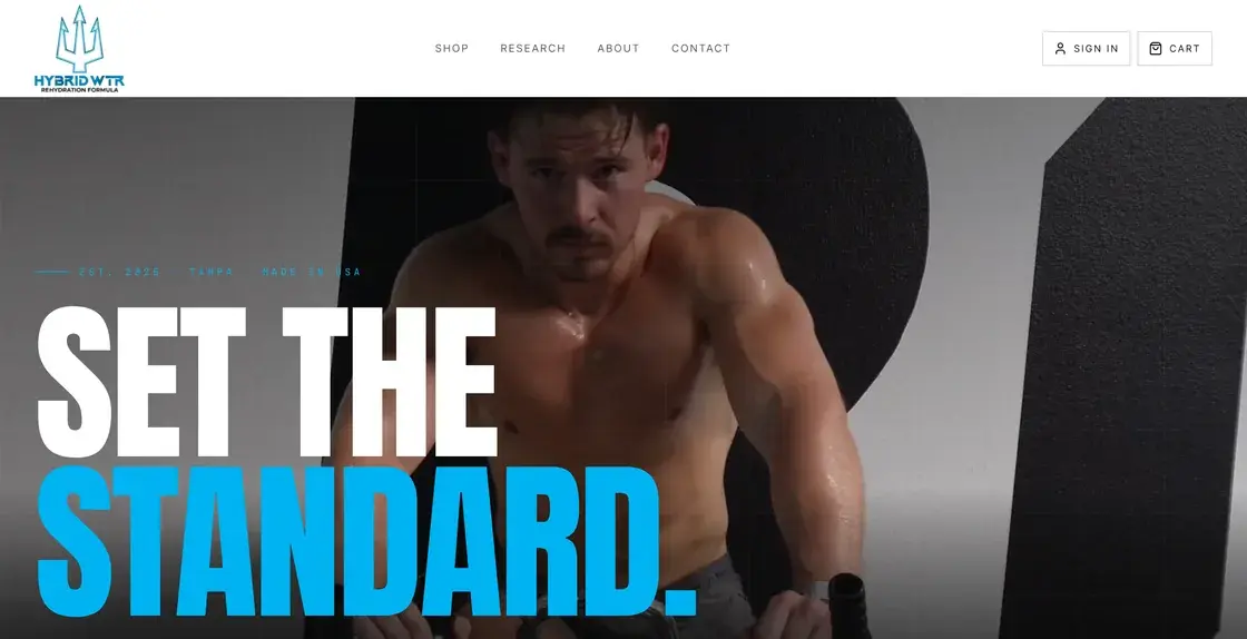Screenshot of the Hybrid WTR website